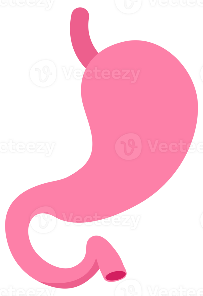 Set of stylized stomach icons in shades of pink, depicting various states of stomach health and conditions png