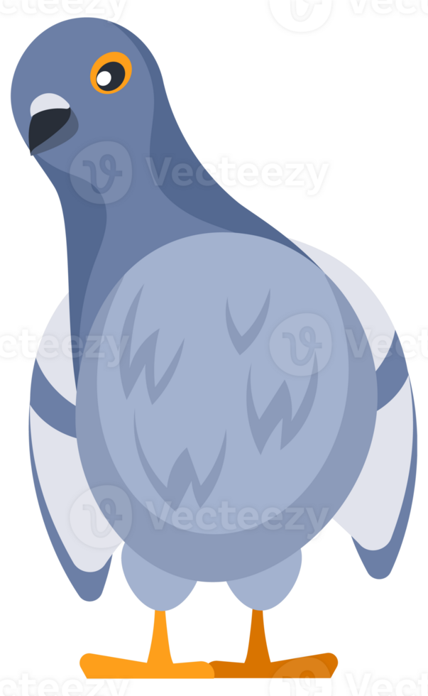 Set of pigeons standing and flying with spread wings png