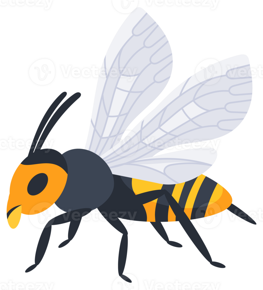 Four different cartoon style wasps flying and crawling with spread wings in different positions png