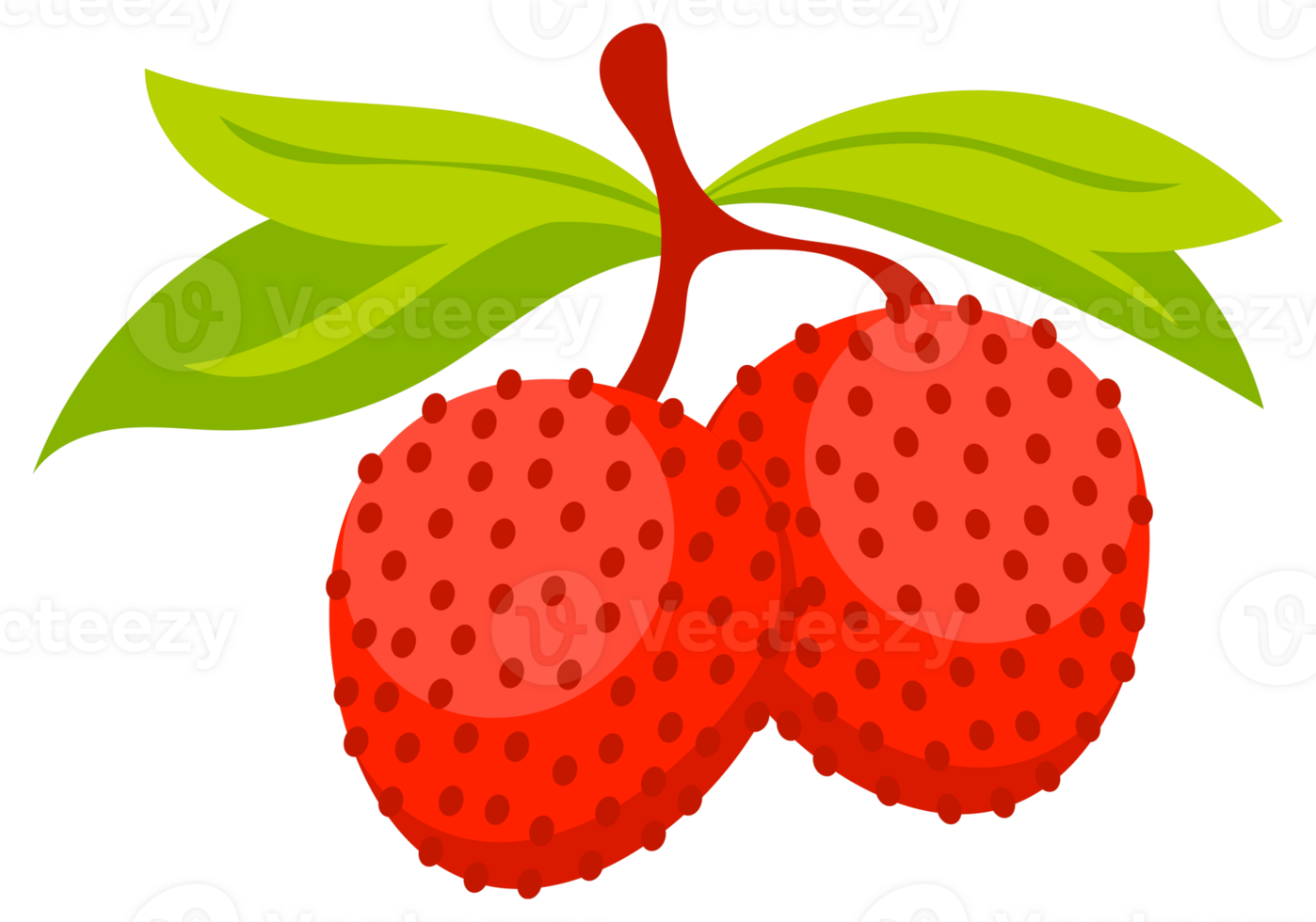 Lychee Set of fresh red. Tropical fruit whole and cut. png