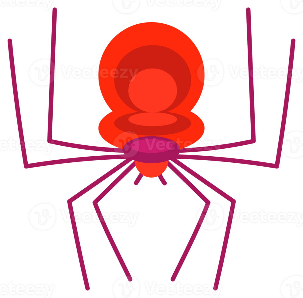 Spider set. Halloween Cartoon Spooky spider set. png