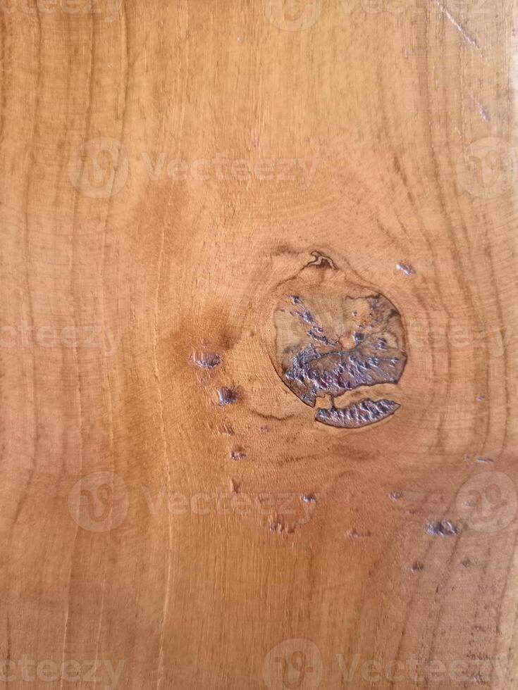 Natural Wood Textures photo