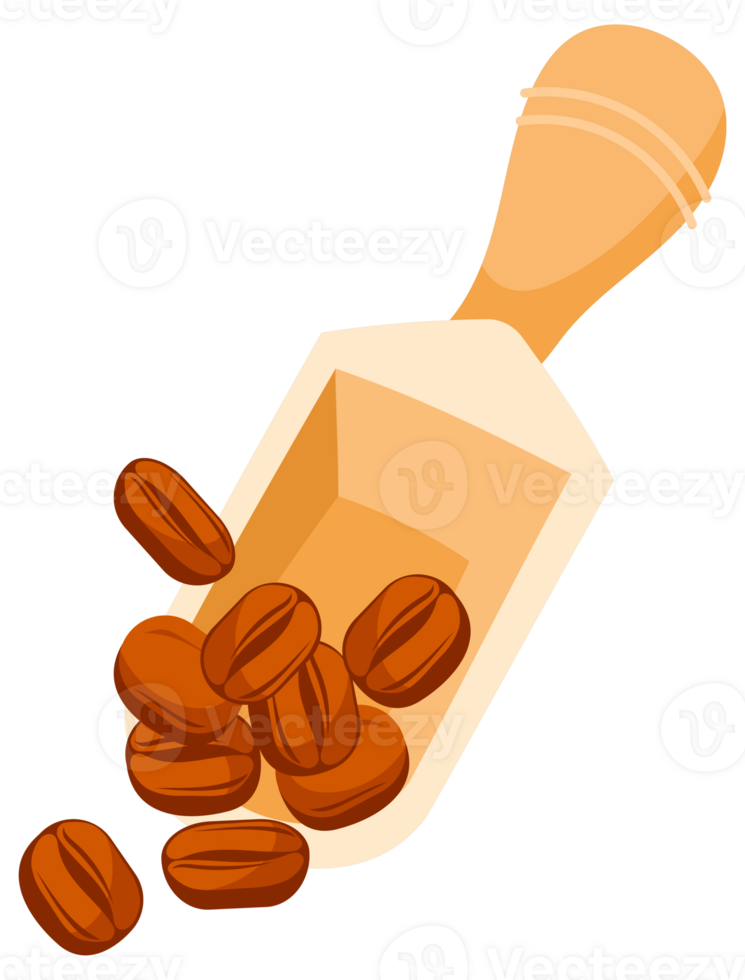 Coffee beans set. Showing various stages of roasting. Various angle for coffee product. png