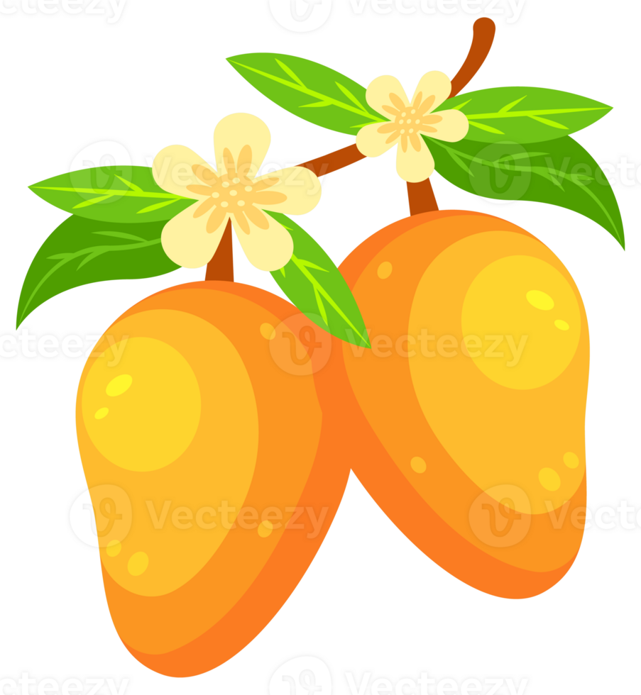 Mango set, fresh exotic fruit. Whole and pieces. Mango Slice png