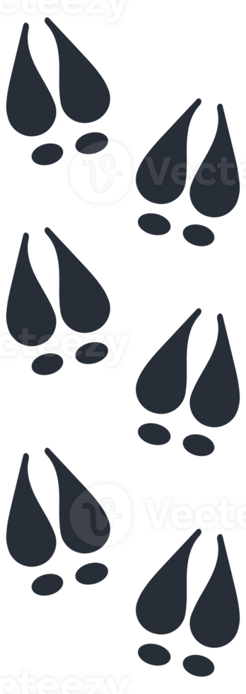 Animal and bird trace steps set. Animal tracks. Paw prints. png