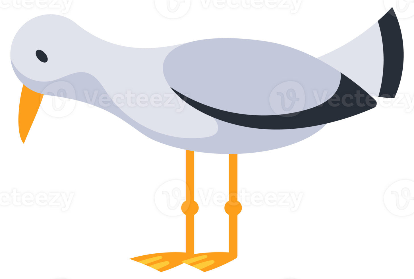 Set of cartoon seagulls standing and flying with spread wings png