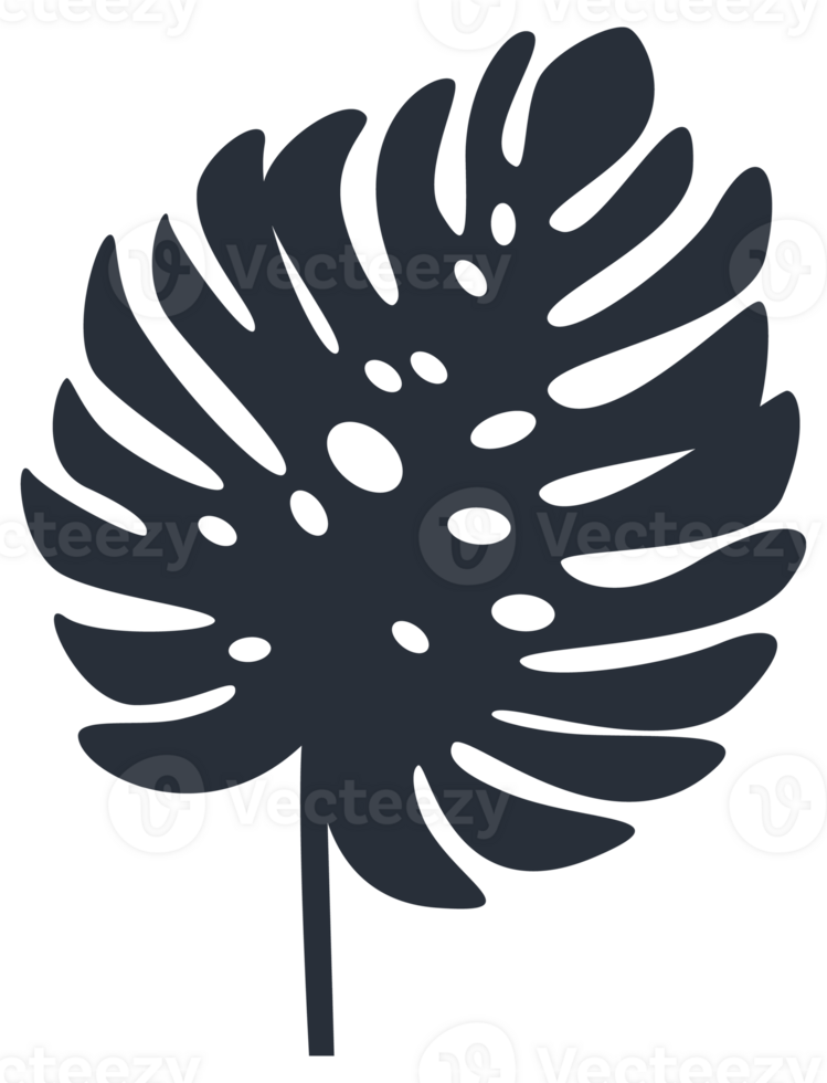 Collection of tropical plant leaf silhouettes, featuring a variety of shapes and sizes, ideal for botanical themes png