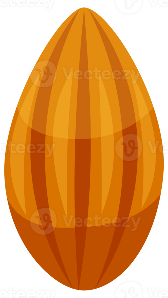 Whole cocoa bean. Sliced into halves and chocolate png