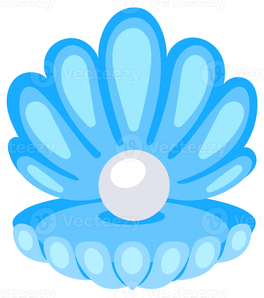 Pearl shells. Open seashell scallop and pearl shell. illustration. png