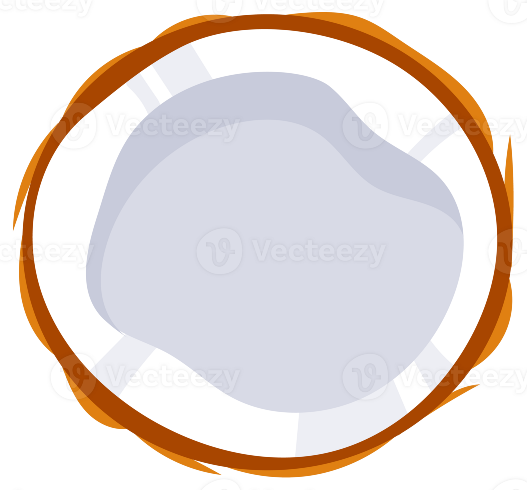 Coconuts with palm leaves. Whole and half cracked broken coco nut. Summer fruits png