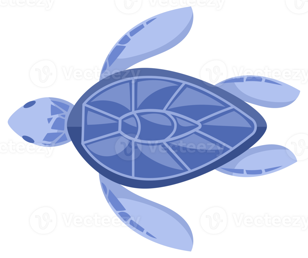 Four colorful cartoon turtles swimming and walking, isolated on white background png