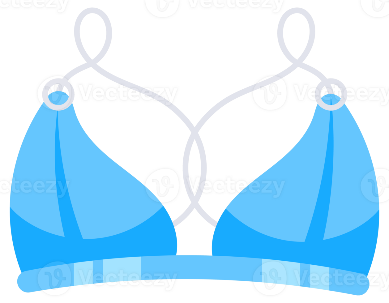 Bra of underwear set. Women lingerie, bikinis and bras png