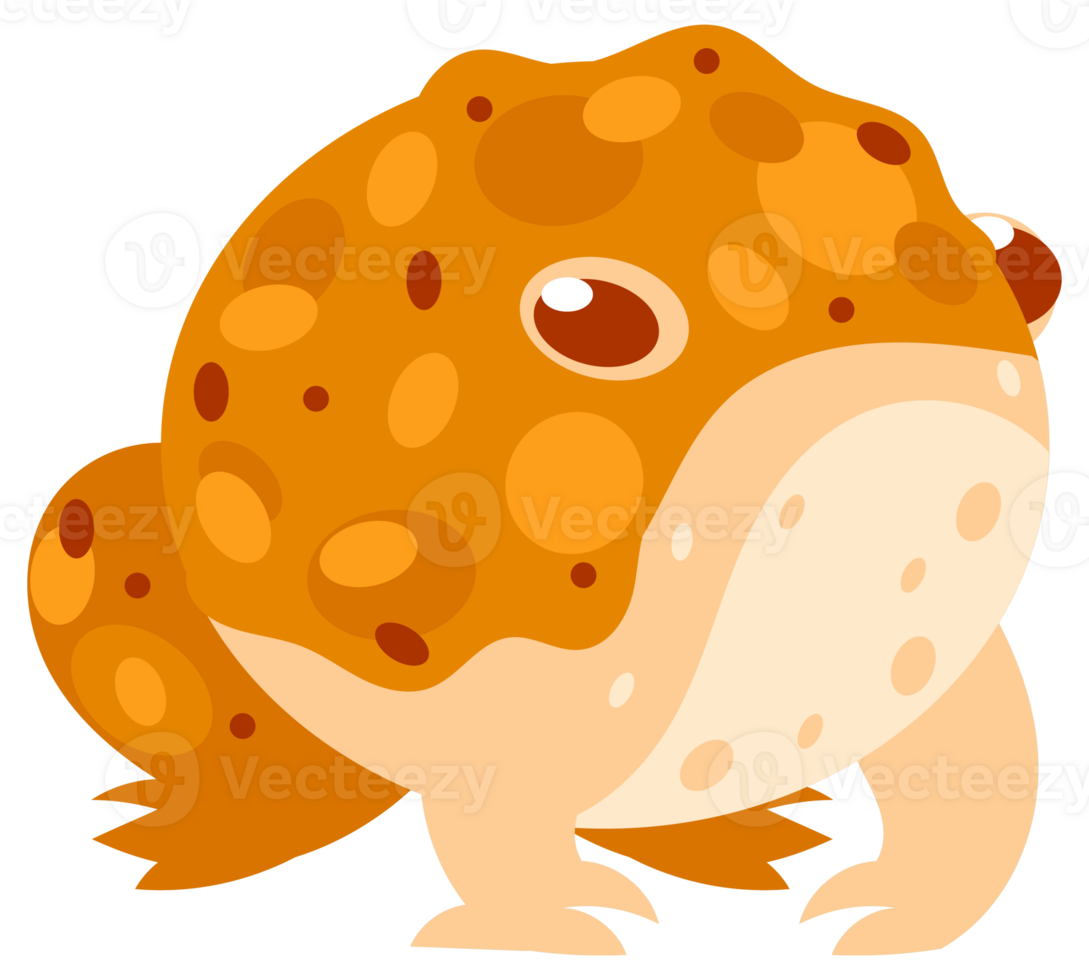 Four colorful frogs are sitting, jumping, and catching flies with their tongues in this cartoon illustration of amphibians png