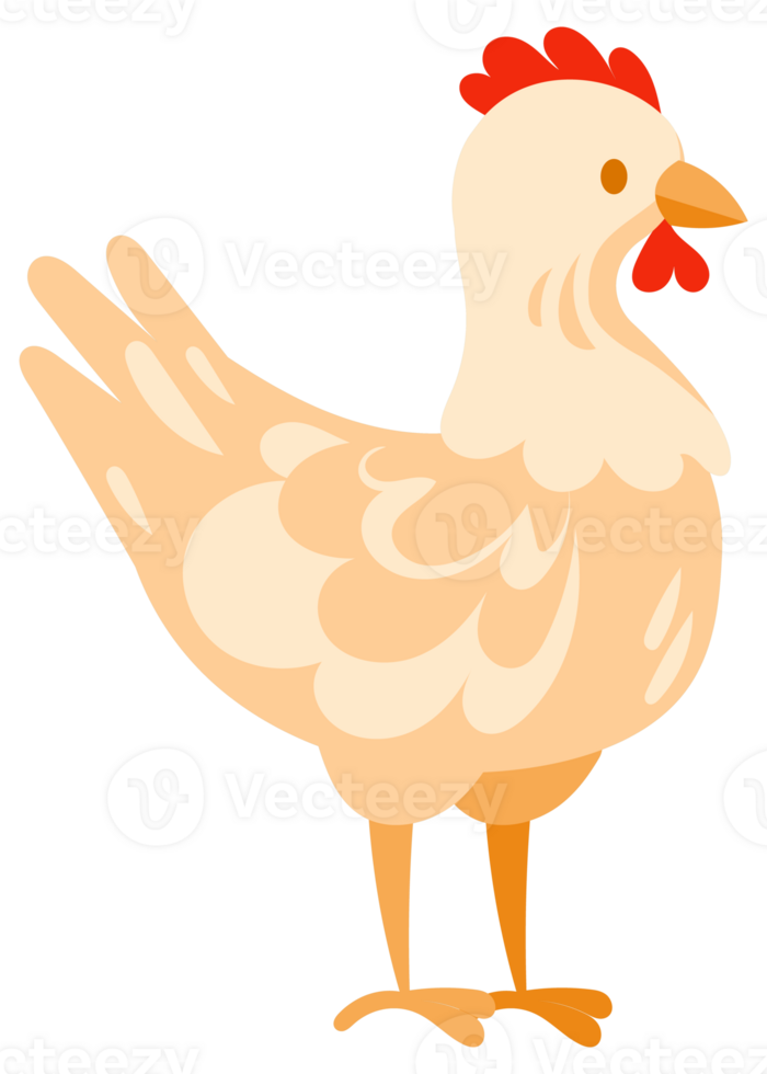 Cartoon illustration featuring a rooster, a hen, two chicks, and a hen sitting on a nest with eggs png