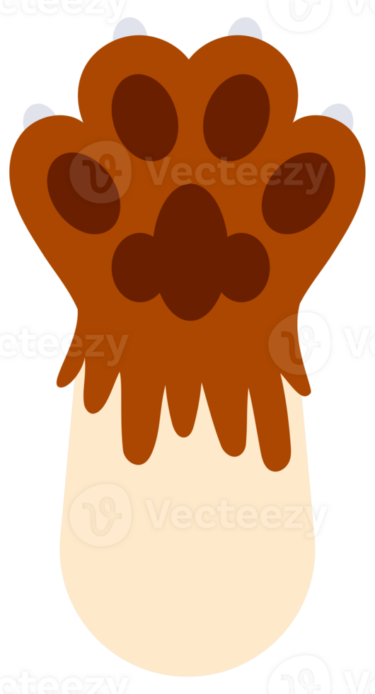 Cat paws set. Cartoon footprints of kitty. Domestic animal foot. png