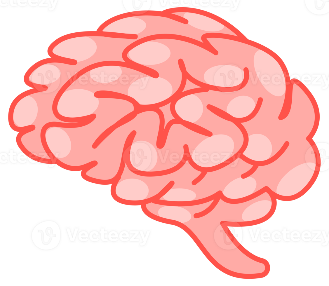 Human brain viewed from the side and top, in soft pink tones, representing the complexity of the human mind png