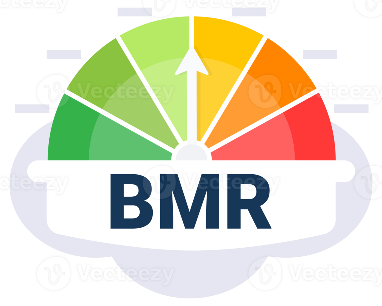 Colorful Basal Metabolic Rate BMR Indicator Gauge Illustration with Distinct Zones png