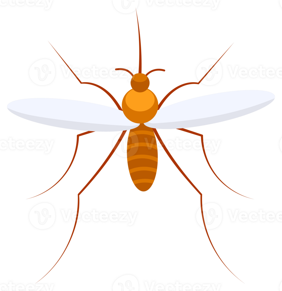 Four flying mosquitoes spreading malaria and other diseases png