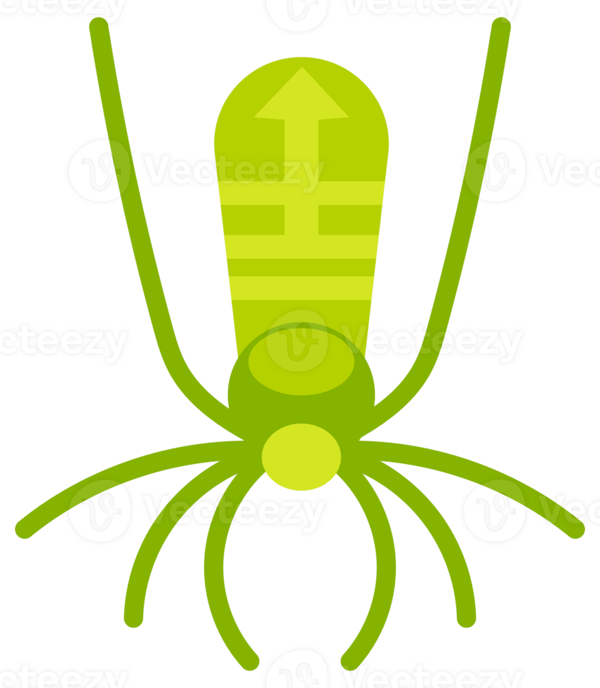 Spider set. Halloween Cartoon Spooky spider set. png