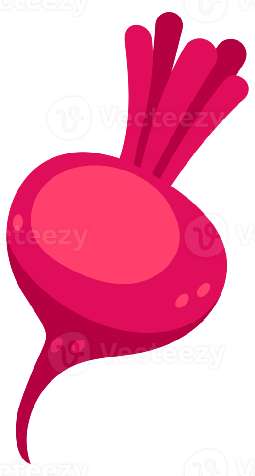 Beetroots set. Fresh red beetroot slices and leaves on white background png