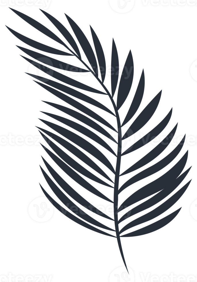 Collection of tropical plant leaf silhouettes, featuring a variety of shapes and sizes, ideal for botanical themes png