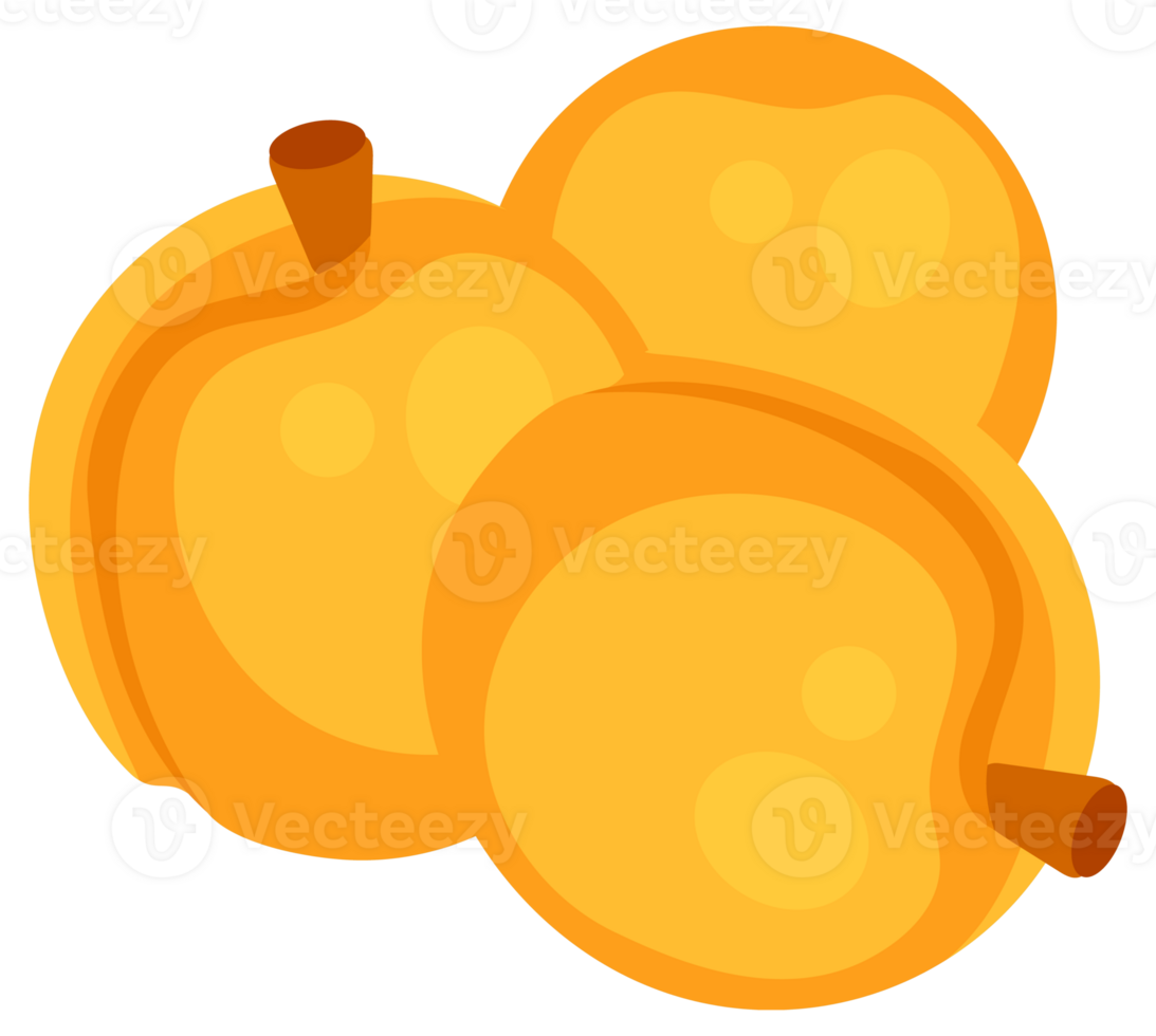 Apricots with leaf and half apricot with leaves. Cartoon fruit set. png