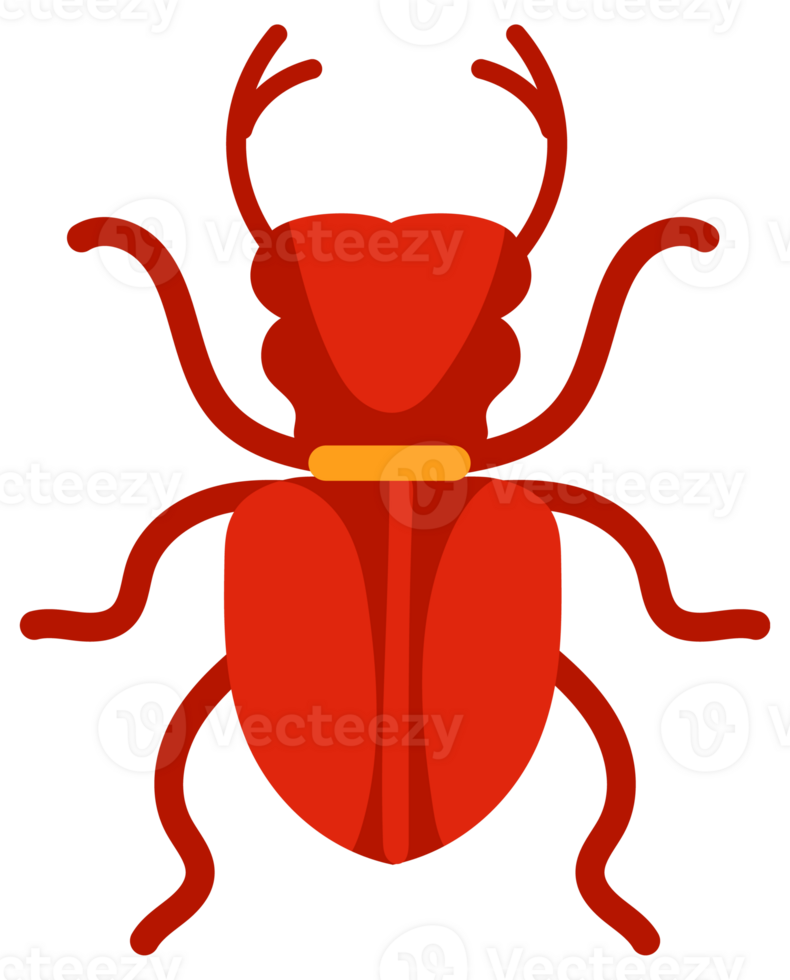 Insects set on white background. Ladybug and spider, mosquito. png