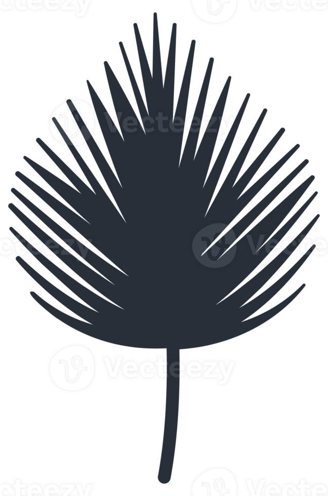 Collection of tropical plant leaf silhouettes, featuring a variety of shapes and sizes, ideal for botanical themes png