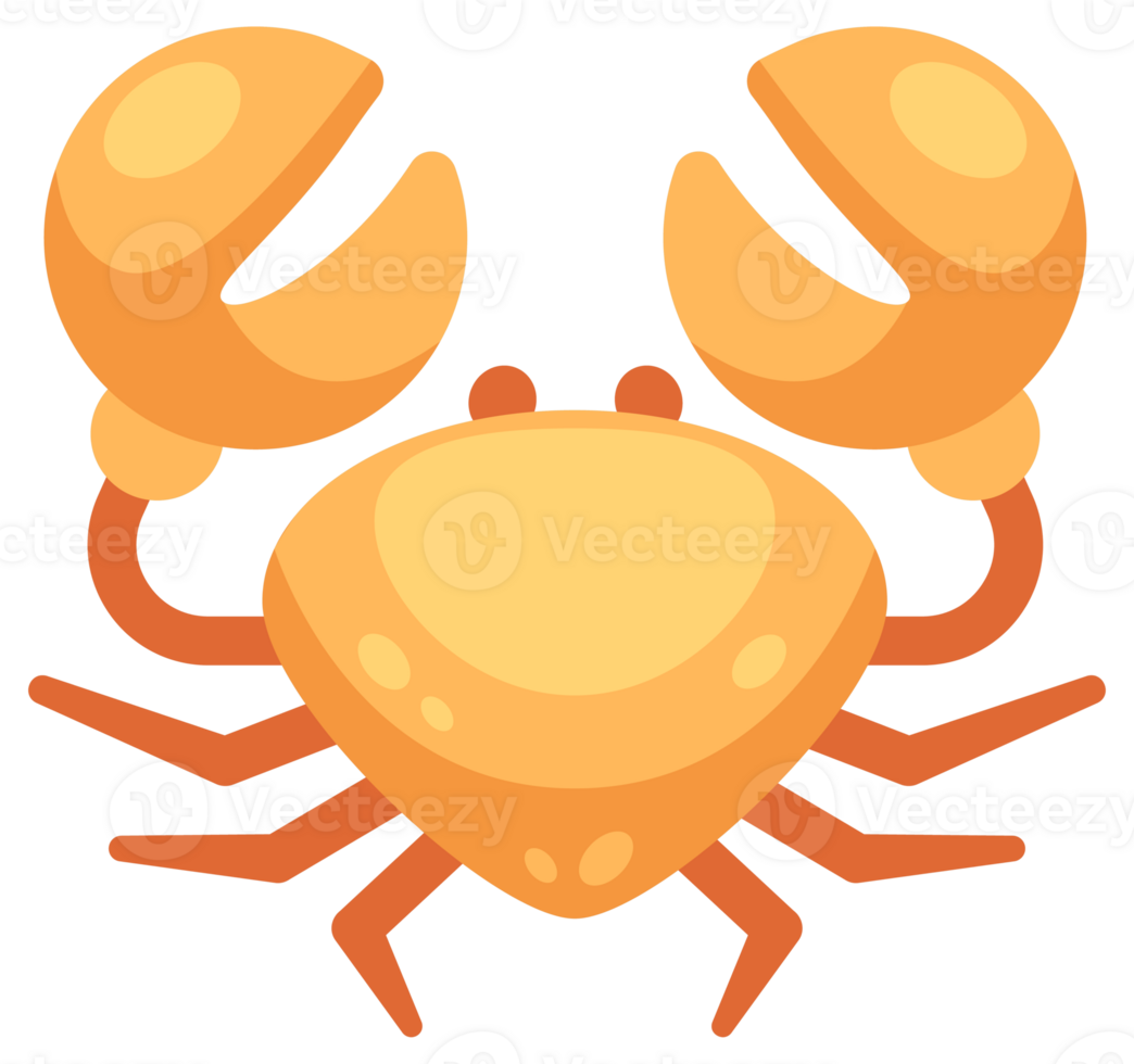 Seafood set. Sea creatures, including crab, shrimp and lobster. png