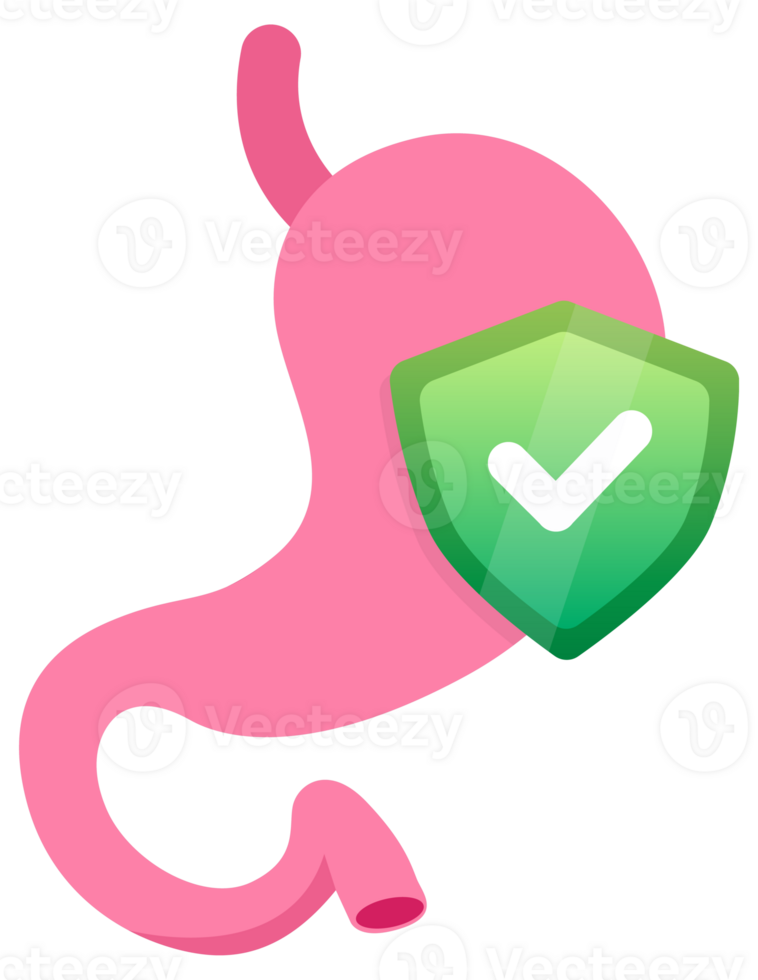 Set of stylized stomach icons in shades of pink, depicting various states of stomach health and conditions png