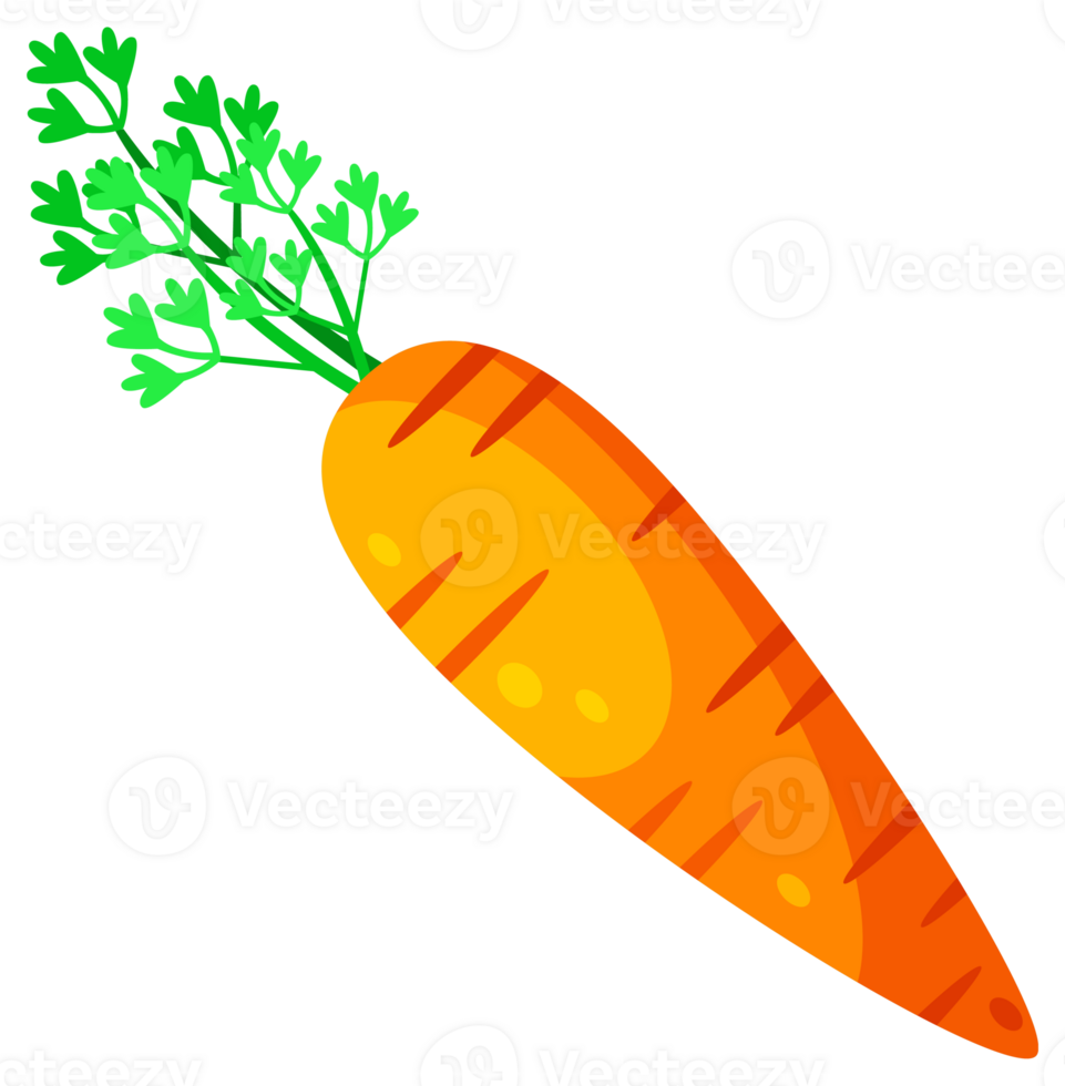Carrot with leave. Easter carrots set. Vegetables, healthy or vegan food. illustration png