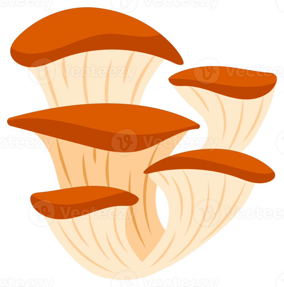 Mushrooms set. Edible and inedible mushroom plants. Chanterelle mushroom, poisonous fungus png