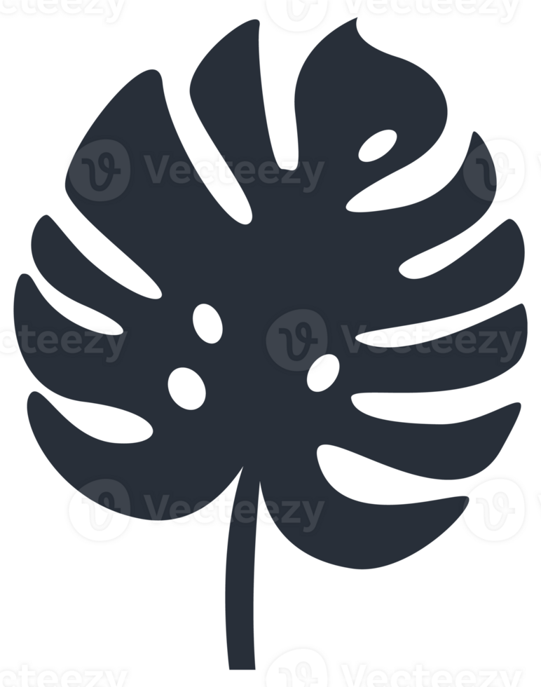 Collection of tropical plant leaf silhouettes, featuring a variety of shapes and sizes, ideal for botanical themes png