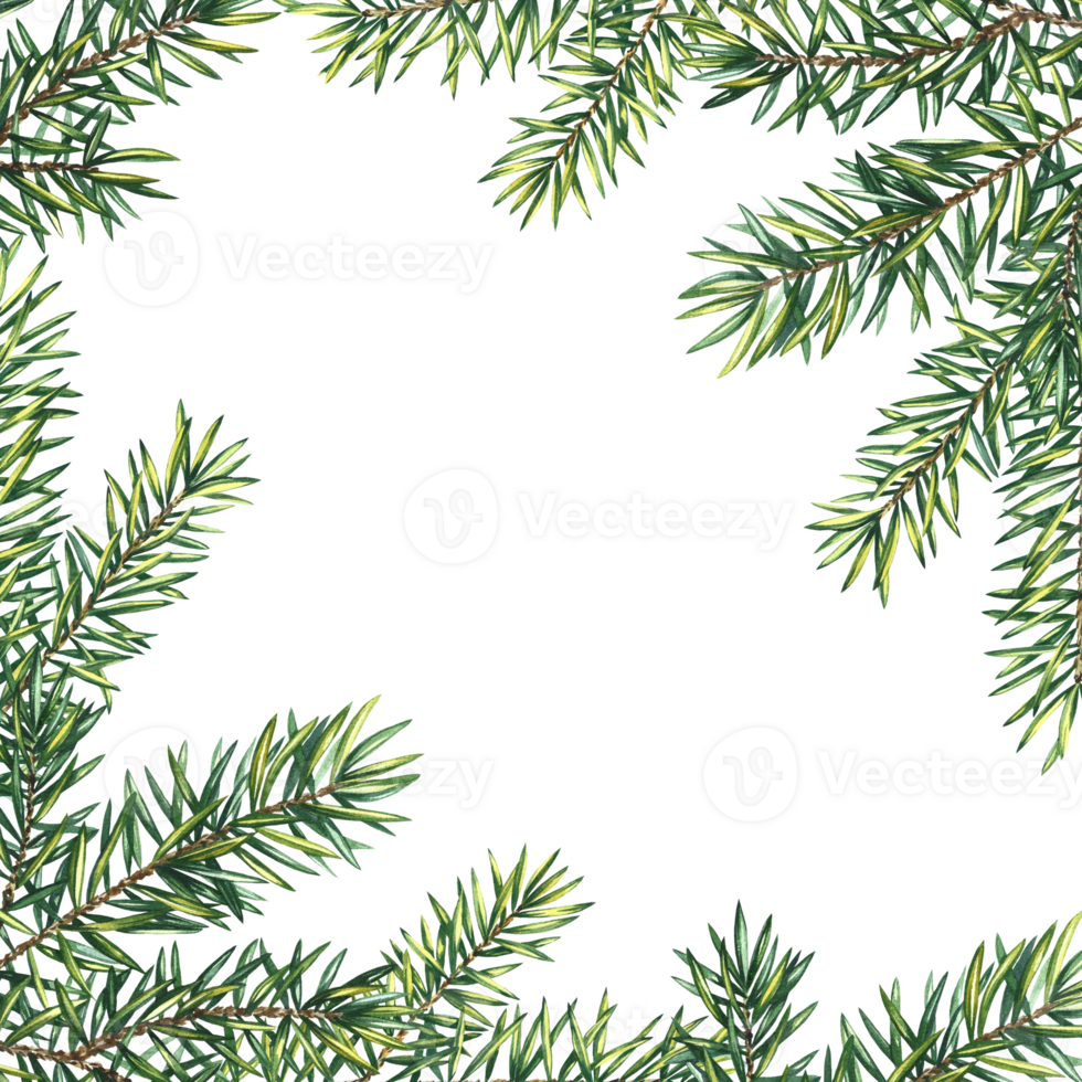 A frame made of Christmas tree branches. A hand-drawn watercolor illustration. For the design of greeting and invitation cards, packaging, labels. For stands, banners and posters, festive decoration. png