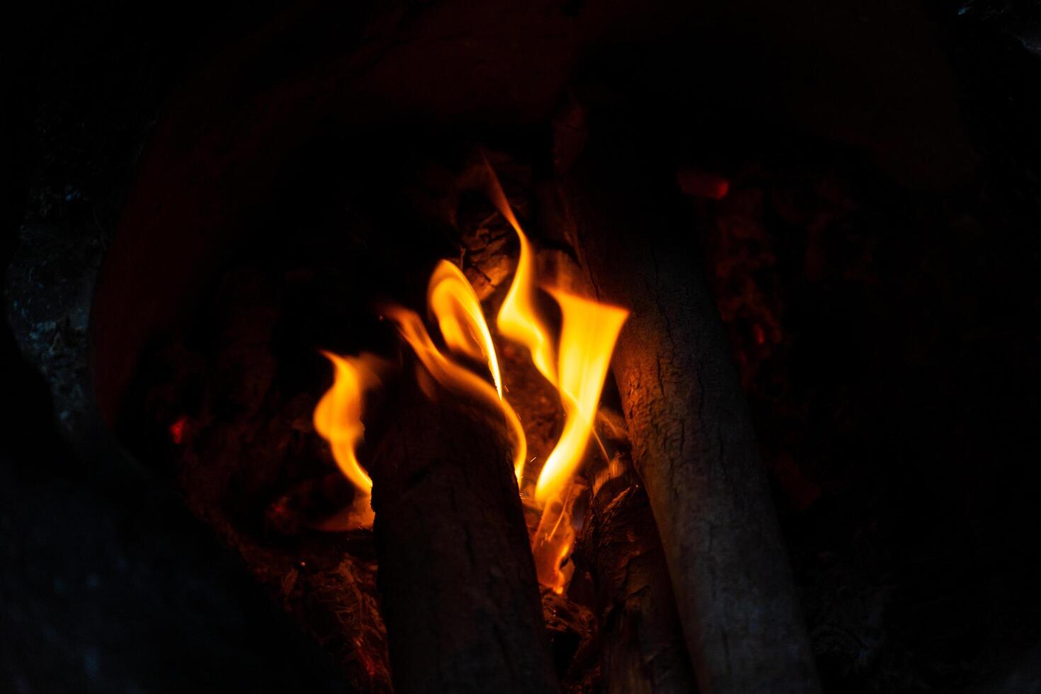Burning wood branch texture for warm and atmospheric backgrounds in creative or professional projects photo