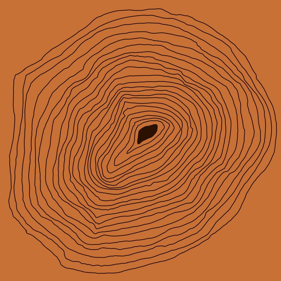 wood fiber texture. heartwood pattern graphics vector