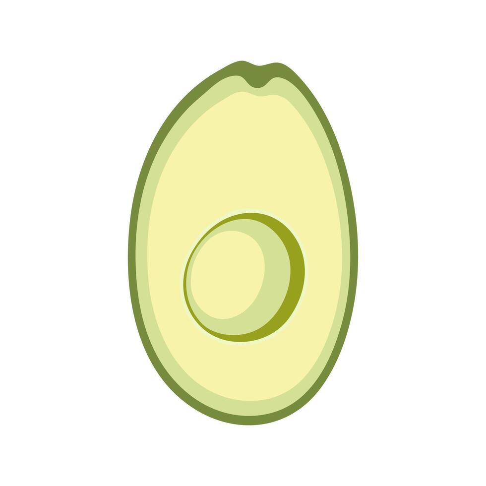 Seedless summer green avocado halves vector