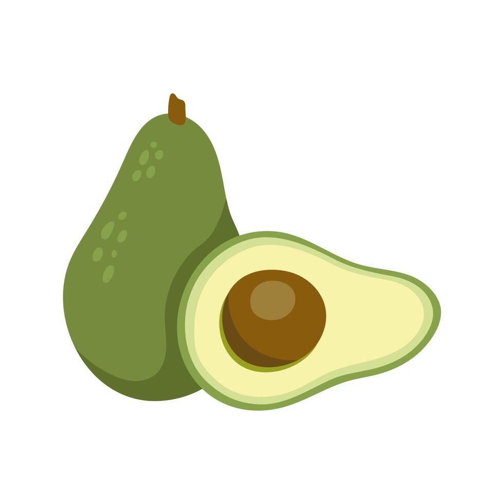 Two green avocado, whole and cut half with seed fruit illustration. vector