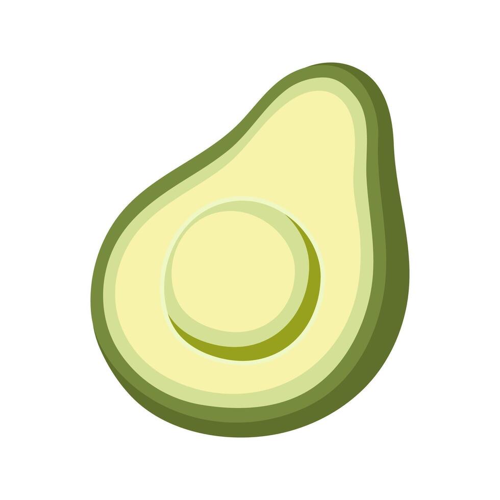 Green half of avocado without seed fruit illustration. vector