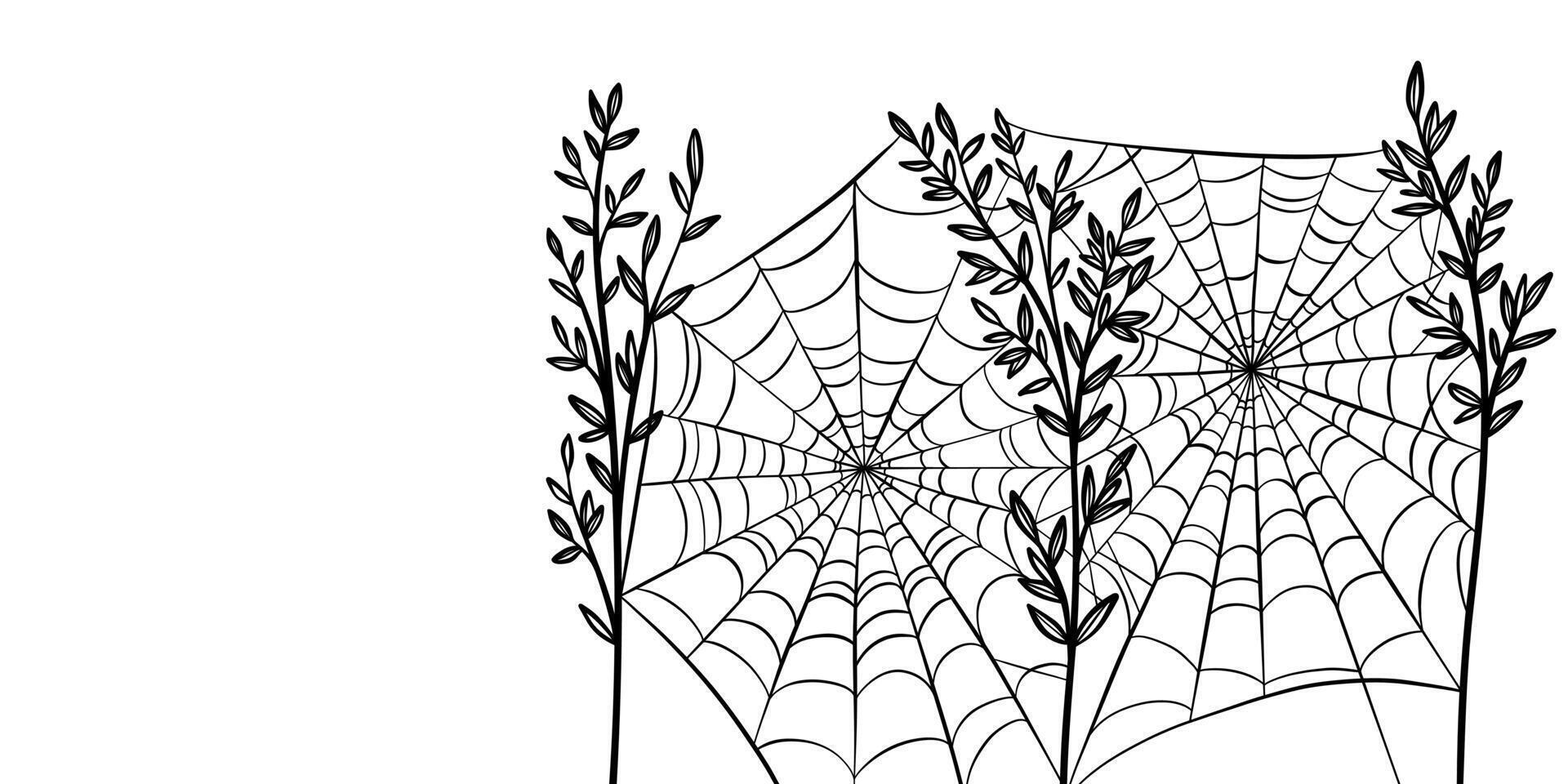 Spider web with plants illustration, Halloween background clip art, autumn , isolated vector