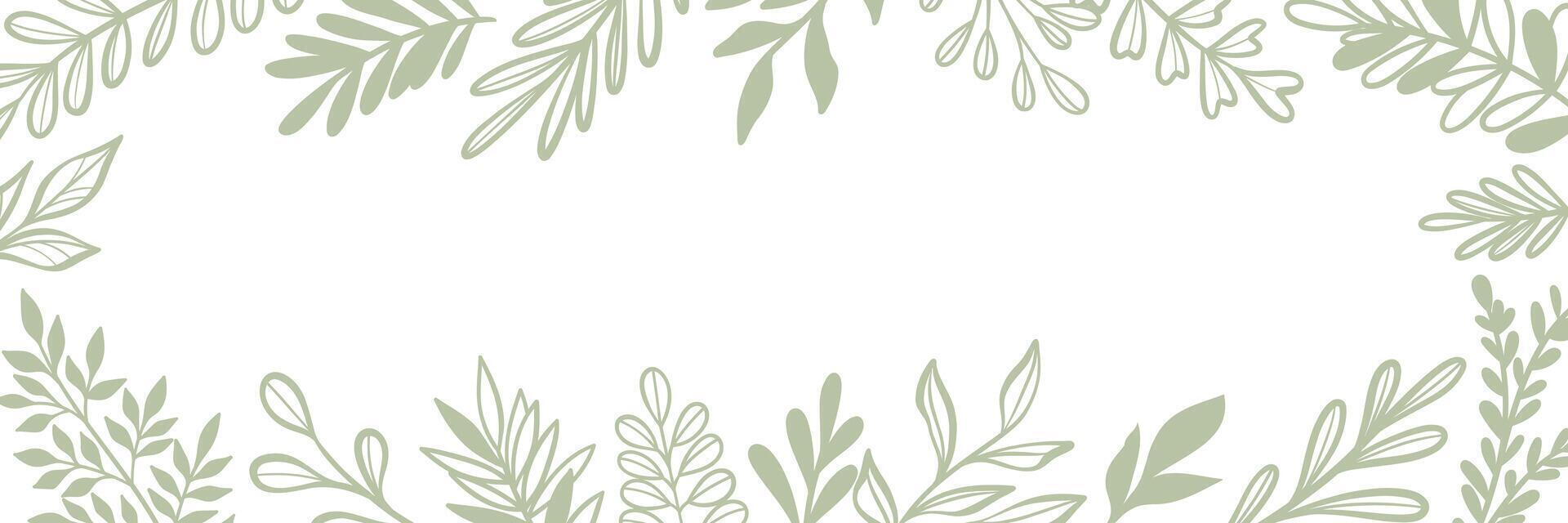 Green leaf banner, wide horizontal frame design, white cover or background foliage, hand drawn leaves, vector