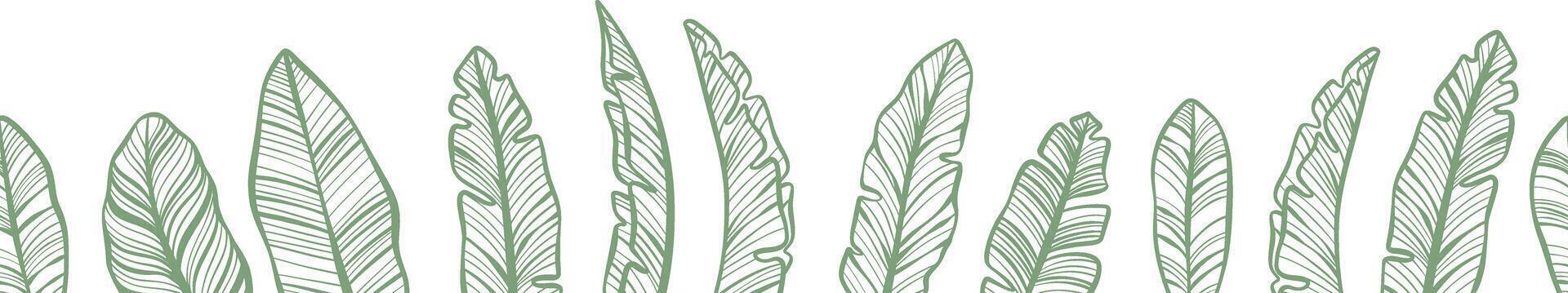 Tropical banner, seamless repeating banana leaves, line art vector