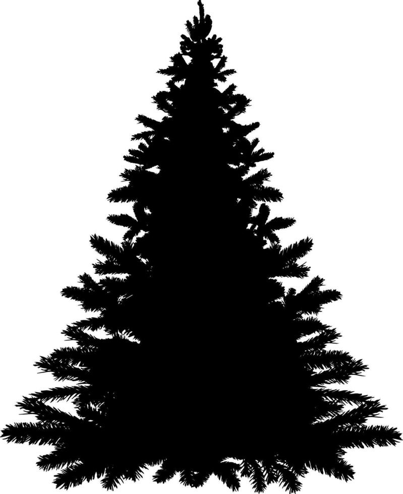 Realistic pine tree silhouette, Christmas tree clip art, isolated vector