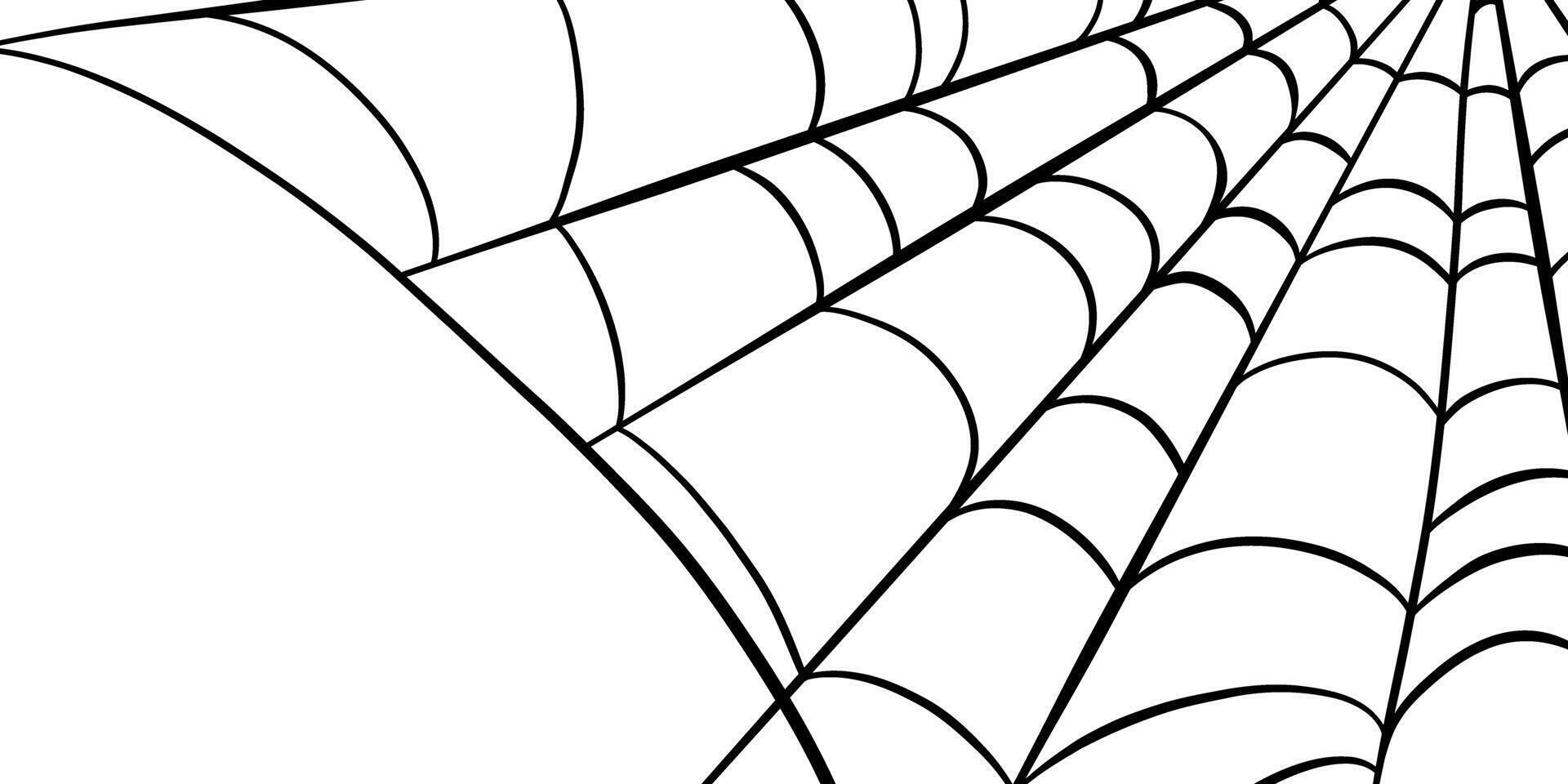 Spider web banner design, hand drawn Halloween decorative element, isolated clip art line art vector