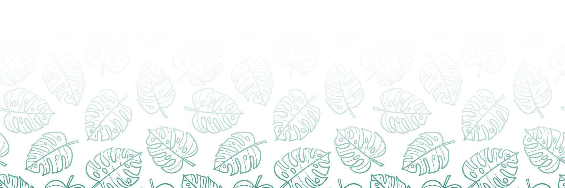 White tropical leaf banner, monstera footer, wide horizontal background design vector