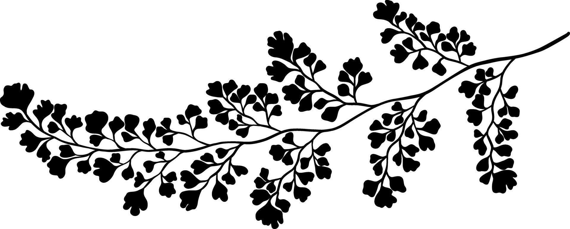 Fern leaf foliage silhouette illustration, elegant decorative plant shape isolated vector
