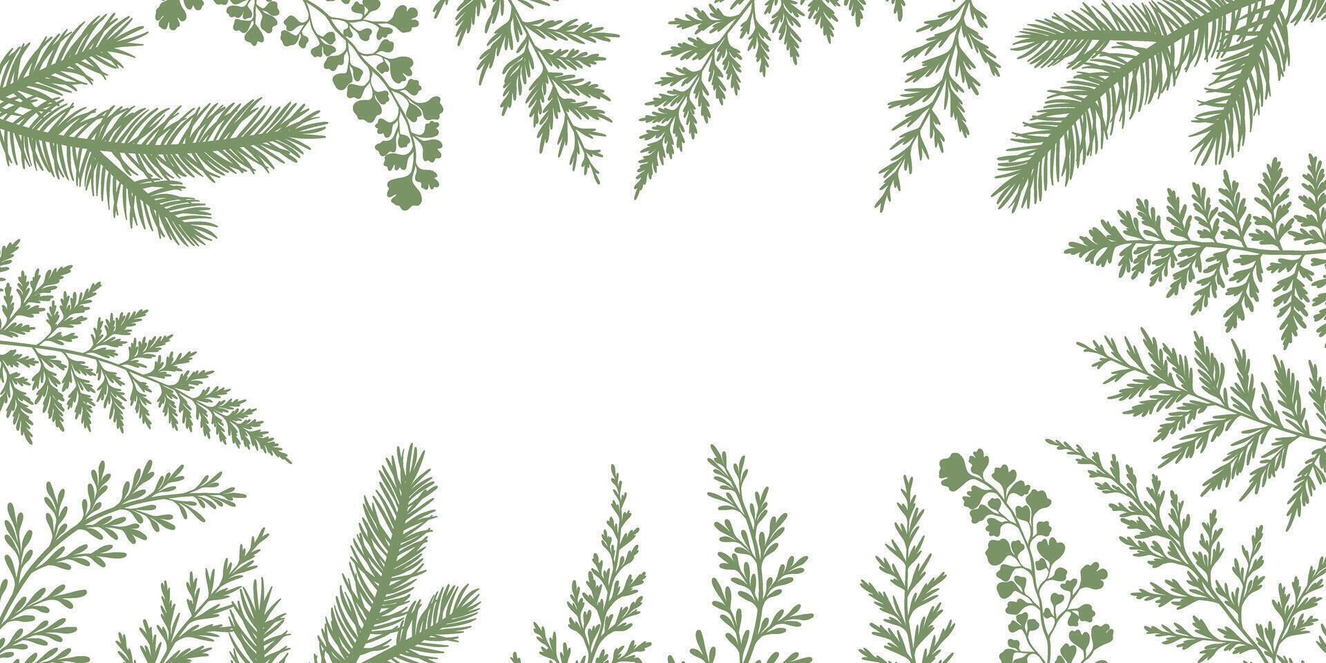 Forest foliage frame illustration, botanical plant silhouettes, pine and fern natural background with empty space, vector