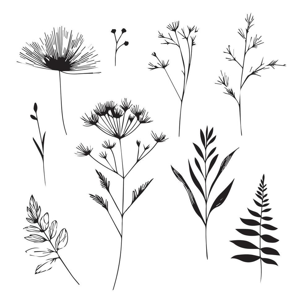 Minimal Floral Graphic Sketch Line Art Drawing vector