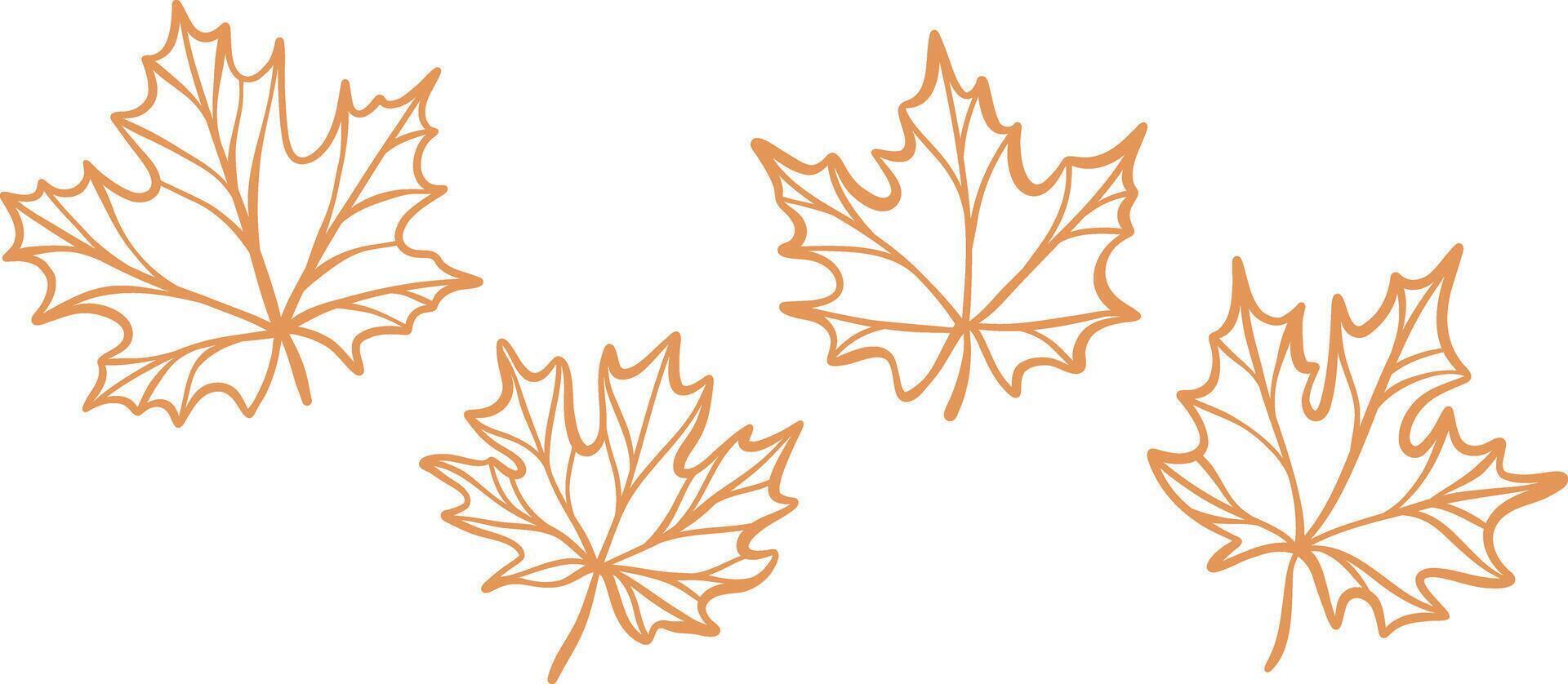 Maple leaves line art illustration, leaf doodle set, isolated vector