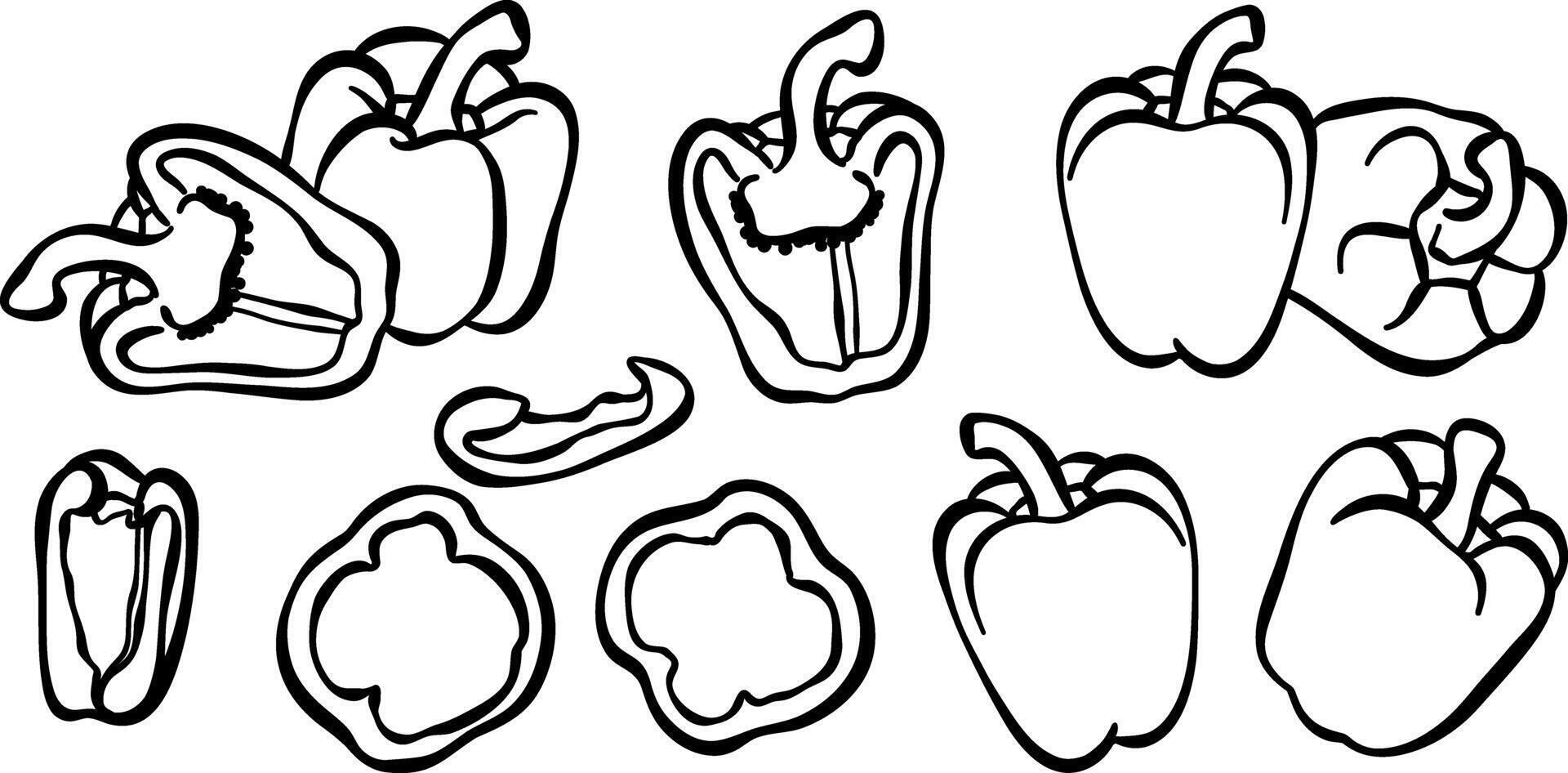 Pepper or paprika illustration, line art hand drawn vegetable ink doodle set, isolated vector